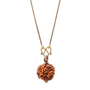 May include: A gold chain necklace with a brown rudraksha bead pendant. The pendant is a round bead with intricate carvings.