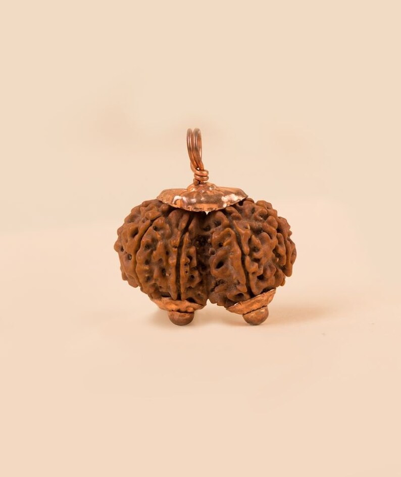 Isha Gauri Shankar Rudraksha Bead Consecrated by Sadhguru Etsy