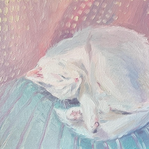 Sleeping Cat Oil Painting White Cat Original Artwork Pastel Colors Painting