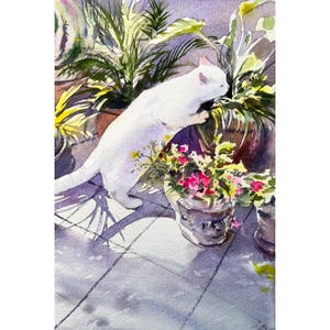 Peut inclure: Un chat blanc aux yeux verts renifle un pot de fleurs roses et jaunes. Le chat est debout sur un patio en carrelage avec une plante en pot derrière lui.