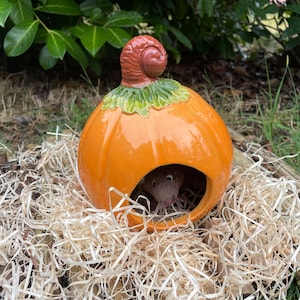 Könnte beinhalten: Ein glänzendes, orangefarbenes Keramik-Versteck in Kürbisform mit grünem Stiel und spiralförmigem Detail oben. Ein kleines braunes Nagetier mit sichtbaren Schnurrhaaren und dunklen Augen befindet sich in der hohlen Öffnung des Kürbisses.