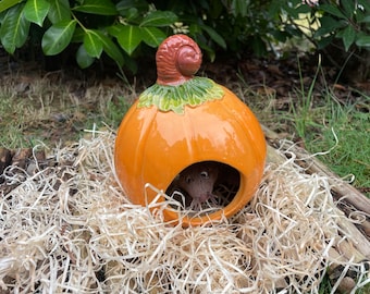 Pumpkin rodent house made of ceramic to order, mouse house, hamster house, waterproof and frost-proof