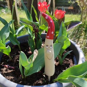 Könnte beinhalten: Ein Keramik-Gartenzwerg in Form eines Pilzes mit einem rot-weißen Hut und einem lächelnden Gesicht. Der Zwerg ist von grünen Pflanzen in einem grauen Topf umgeben.