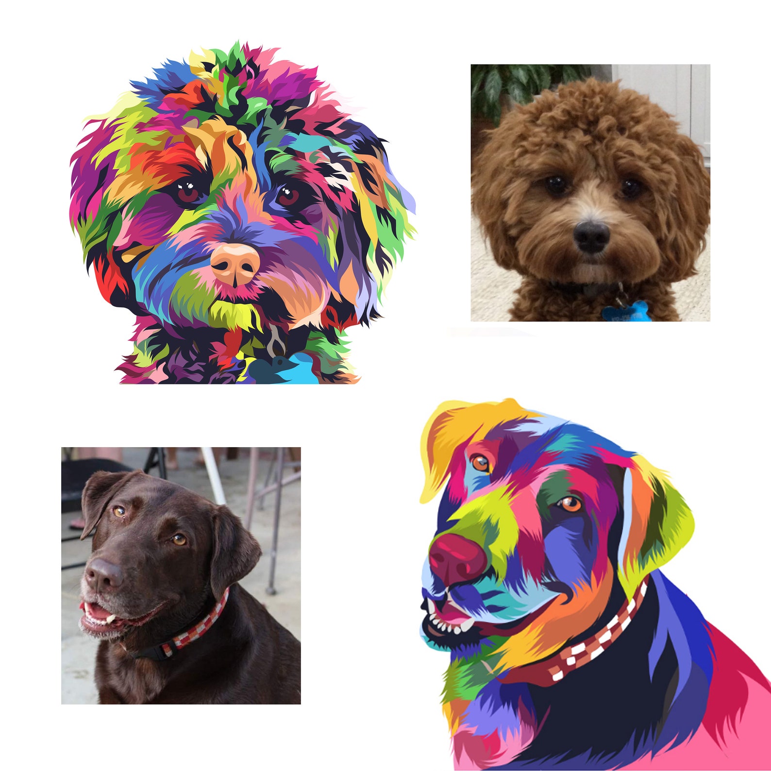 Pet Portrait Pop Art Pet Portrait Custom Pet Portrait Etsy