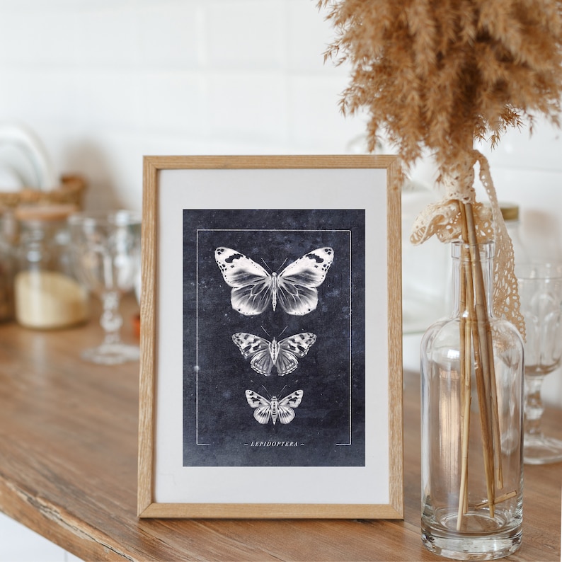 Butterfly Postcard // Insects // Moths, Butterflies, Anatomy, Illustration, Spring, Postcards, Greeting Cards, Cards, Art Print image 7