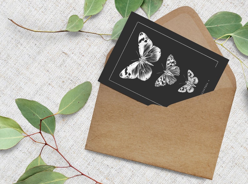 Butterfly Postcard // Insects // Moths, Butterflies, Anatomy, Illustration, Spring, Postcards, Greeting Cards, Cards, Art Print image 1