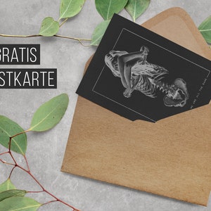 May include: A black and white postcard with a skeletal figure and the text "We are all the same". The postcard is in a brown envelope with a green leafy branch on the left side of the image.