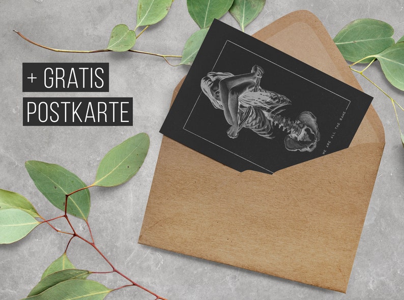 May include: A black and white postcard with a skeletal figure and the text "We are all the same". The postcard is in a brown envelope with a green leafy branch on the left side of the image.