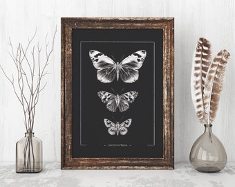 Butterfly poster illustration black and white art print // Boho vintage wall decoration