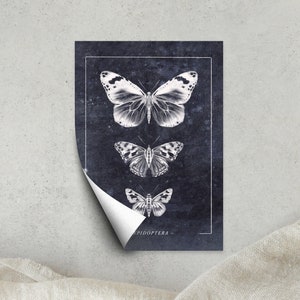 Aufkleber Schmetterlinge Bundle // Insekten // Sticker, Biologisch abbaubar, Illustration, Geschenk, Journaling, Deko, Frühling, Öko