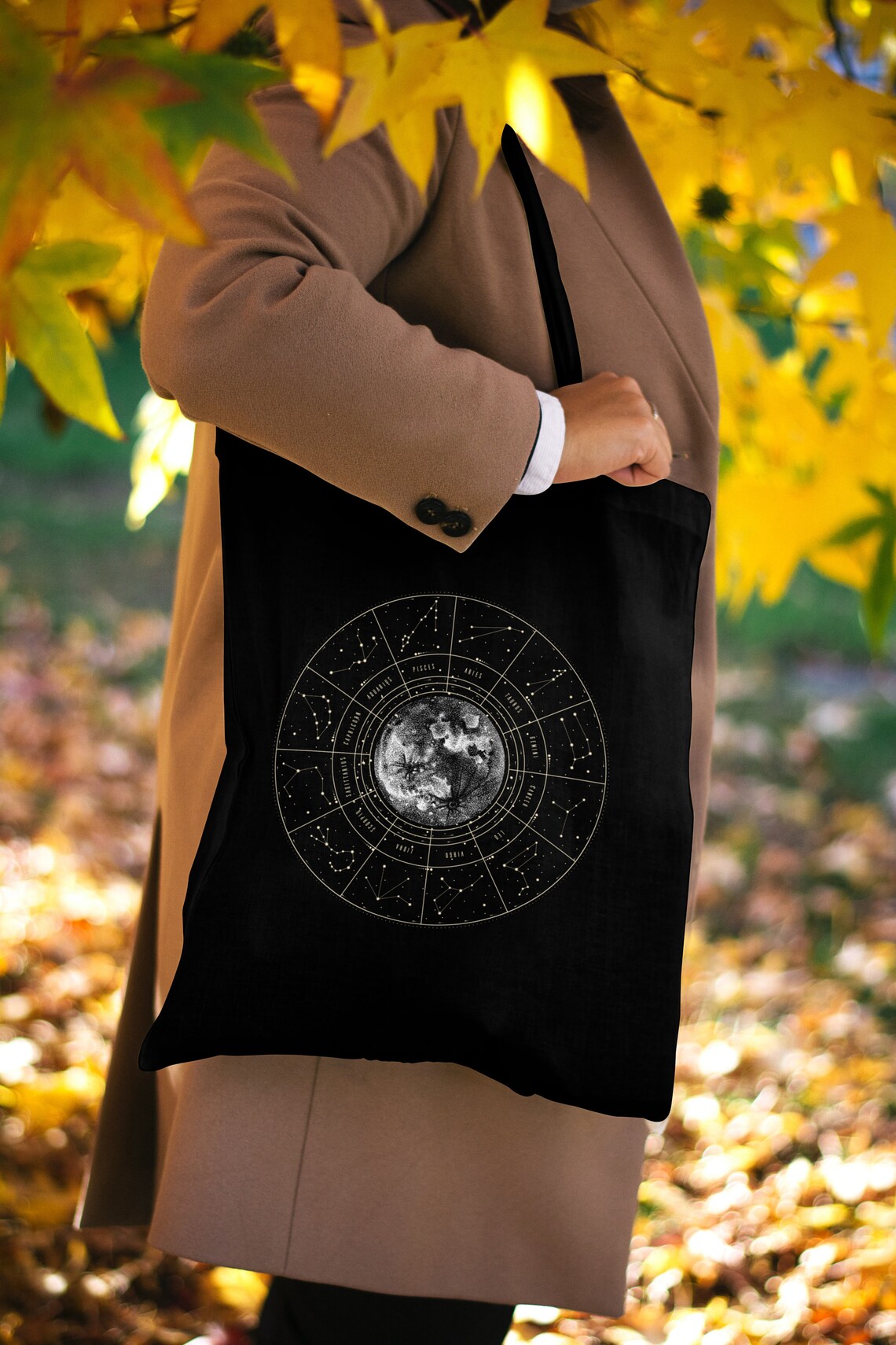 Catstudio Astrologie Reißverschlusstasche Wassermann – 14 X 20,3 Cm, Polygewebe, Für Make-up, Reise & Organisation