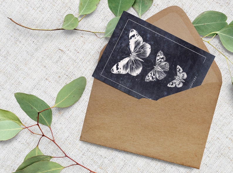 Butterfly Postcard // Insects // Moths, Butterflies, Anatomy, Illustration, Spring, Postcards, Greeting Cards, Cards, Art Print image 2