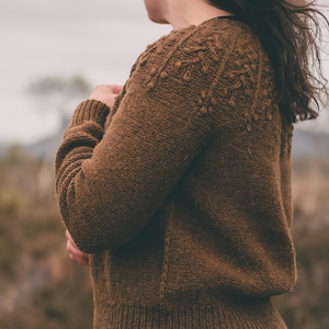 May include: A brown knitted jumper with a textured pattern on the shoulders and sleeves. The jumper features a ribbed hem and cuffs. The person is wearing an orange skirt. The background is blurred, suggesting an outdoor setting.