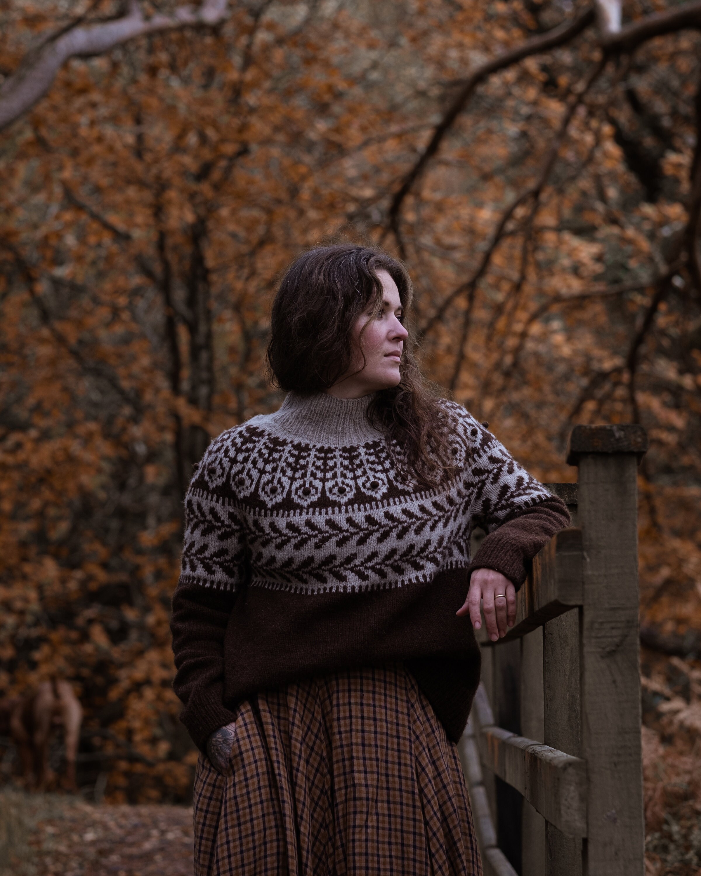 Round Yoke Sweater Knitting Pattern, Stranded Colourwork in DK Worsted ...