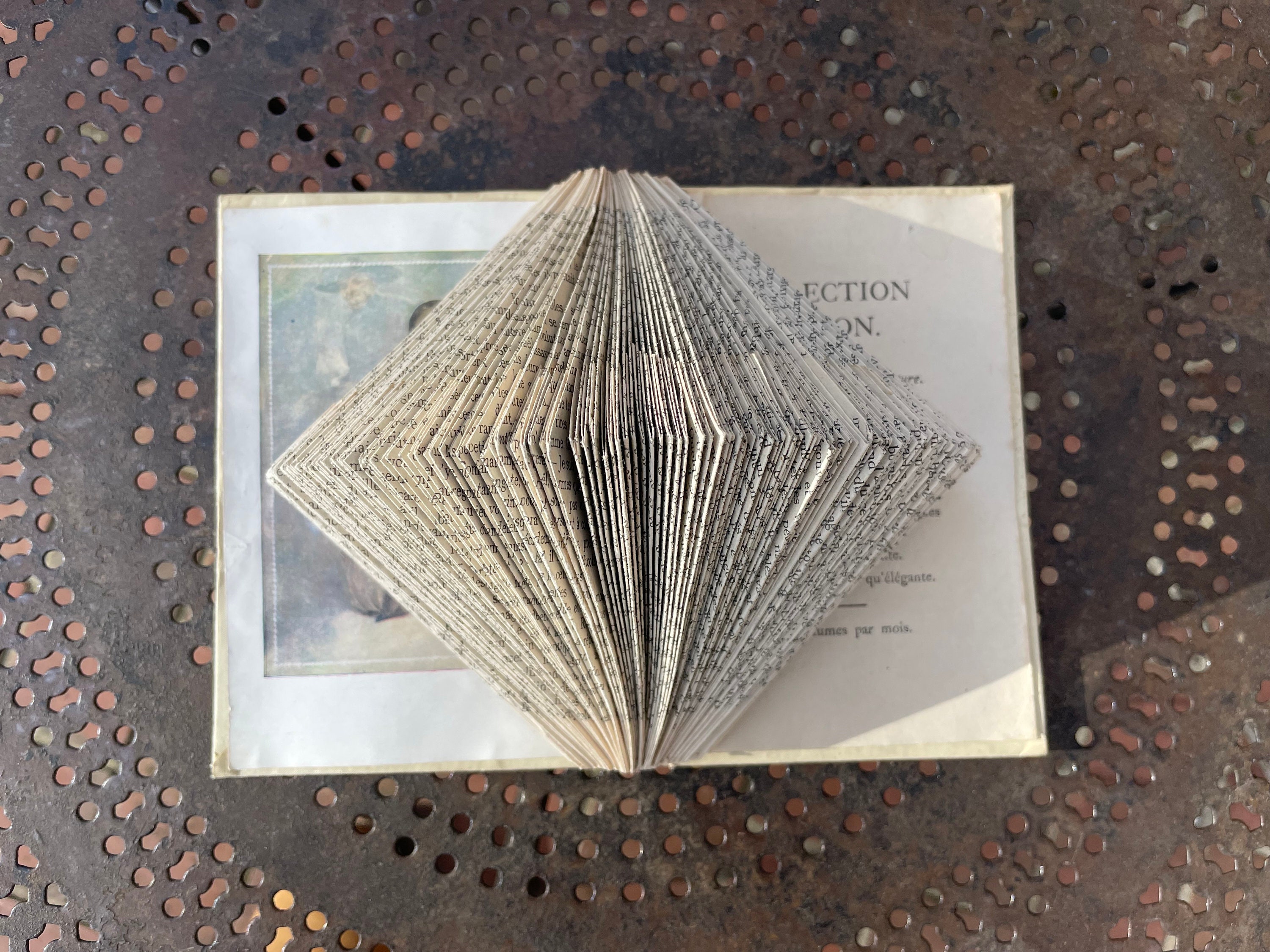 Livre Plié La Peau de Chagrin