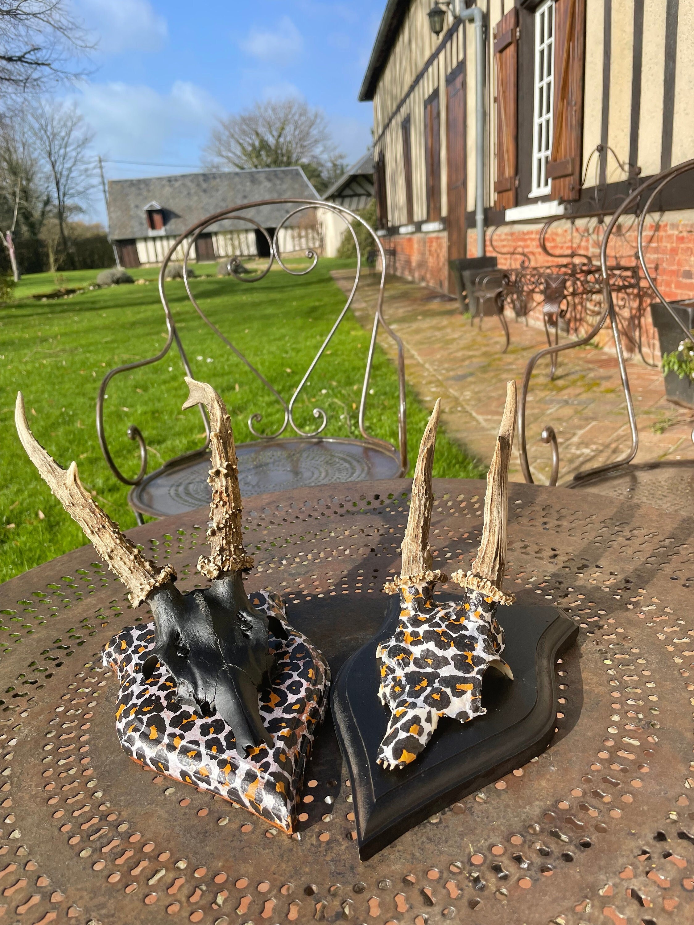 Ensemble de 2 Trophées Chasse, Massacres Brocards, Customisés