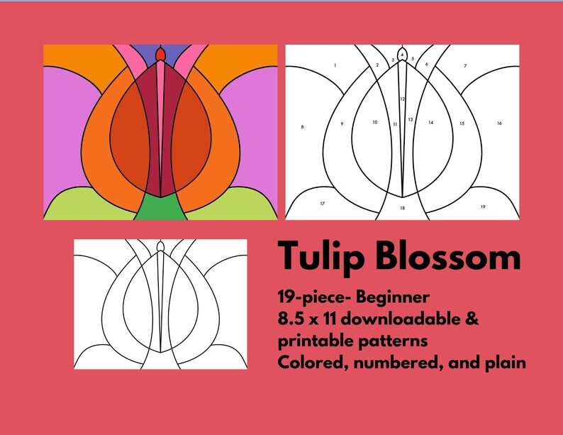 Tulip Blossom Tulip Blossom