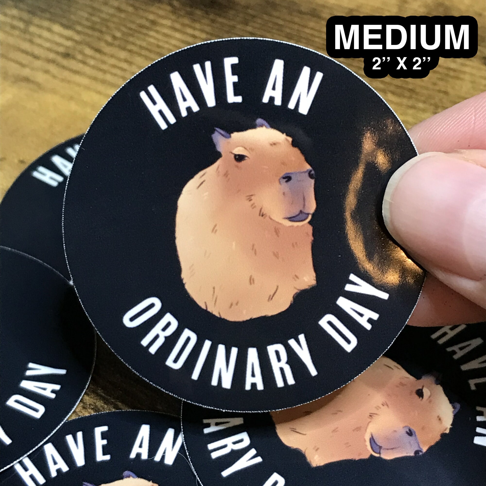 Have an Ordinary Day Capybara Sticker, Largest Rodent, Gloss Sticker