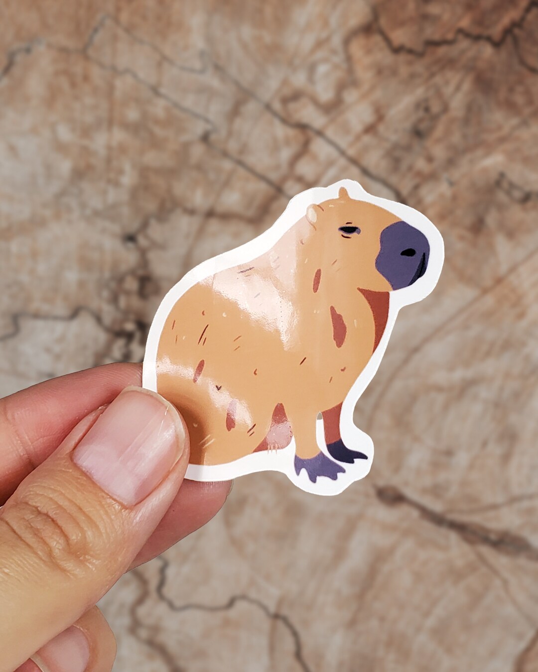 Capybara Sticker, Worlds Largest Rodent, Gloss Sticker, Capybaras, Cute ...