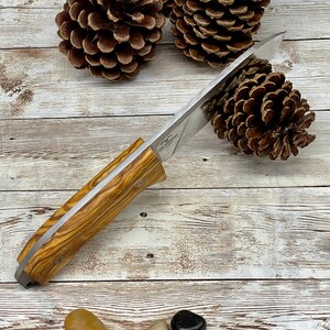 Pu&ograve; includere: Un primo piano di un coltello con manico in legno e lama in acciaio inossidabile. Il manico &egrave; in legno marrone chiaro con venature marroni scure. La lama &egrave; affilata e ha una leggera curvatura. Il coltello &egrave; appoggiato su una superficie in legno.