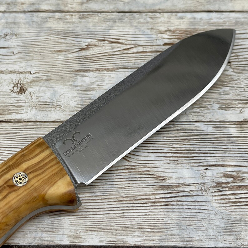Pu&ograve; includere: Primo piano di una lama di coltello con un manico in legno. La lama &egrave; in acciaio inossidabile e ha una finitura satinata. Il manico &egrave; in legno d'ulivo e ha un accento in ottone. Il coltello &egrave; inciso con le parole "Goldenhorn Handcrafted Knives".
