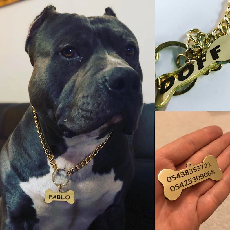 Gold Dog Choke Chain Jewelry for Dogs Chains for Pets Bone Etsy Australia