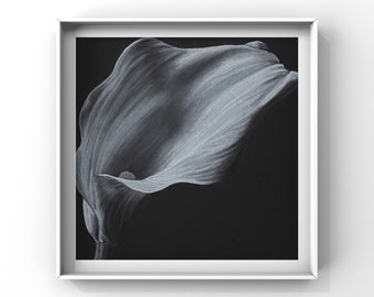 Calla Lily Art Print / Disegno floreale / Stampa floreale / Regalo per lei