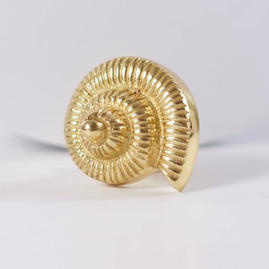May include: A gold-coloured seashell ornament with a spiral design. The seashell is made of metal and has a smooth, shiny finish.
