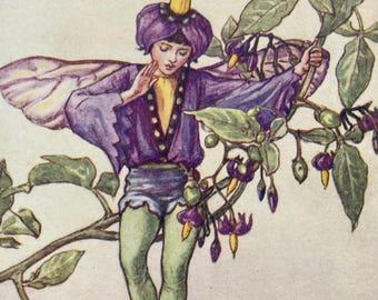 Vintage Flower Fairies Print, The Nightshade Fairy, Original 1930s Children's Book Plate Illustration