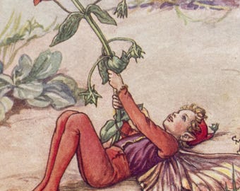 Vintage Flower Fairies Print, The Scarlet Pimpernel Fairy, Original 1930s Children's Book Plate Illustration