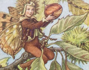 The Sweet Chestnut Fairy, Original 1940s Flower Fairies Print, Vintage Children's Book Plate Illustration