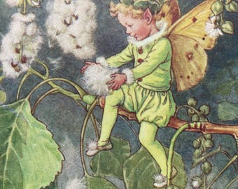The Poplar Fairy, Original 1940s Flower Fairies Print, Vintage Children's Book Plate Illustration