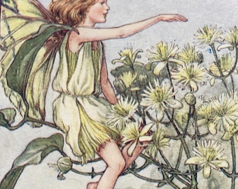 Vintage Flower Fairies Print, The Traveller's Joy Fairy, Original 1930s Children's Book Plate Illustration