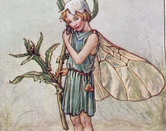 The Shepherd's-Purse Fairy, Original 1930s Flower Fairies Print, Children's Book Illustration, Nursery Art