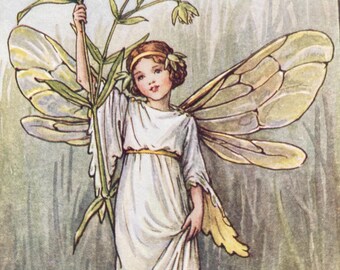 The Stitchwort Fairy, Original 1930s Flower Fairies Print, Vintage Children's Book Illustration