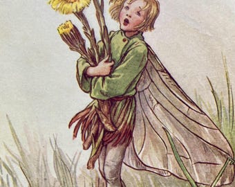 The Coltsfoot Fairy, Original 1930s Flower Fairies Print, Children's Book Illustration, Nursery Art
