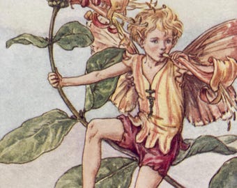 Vintage Flower Fairies Print, The Honeysuckle Fairy, Original 1930s Children's Book Plate Illustration