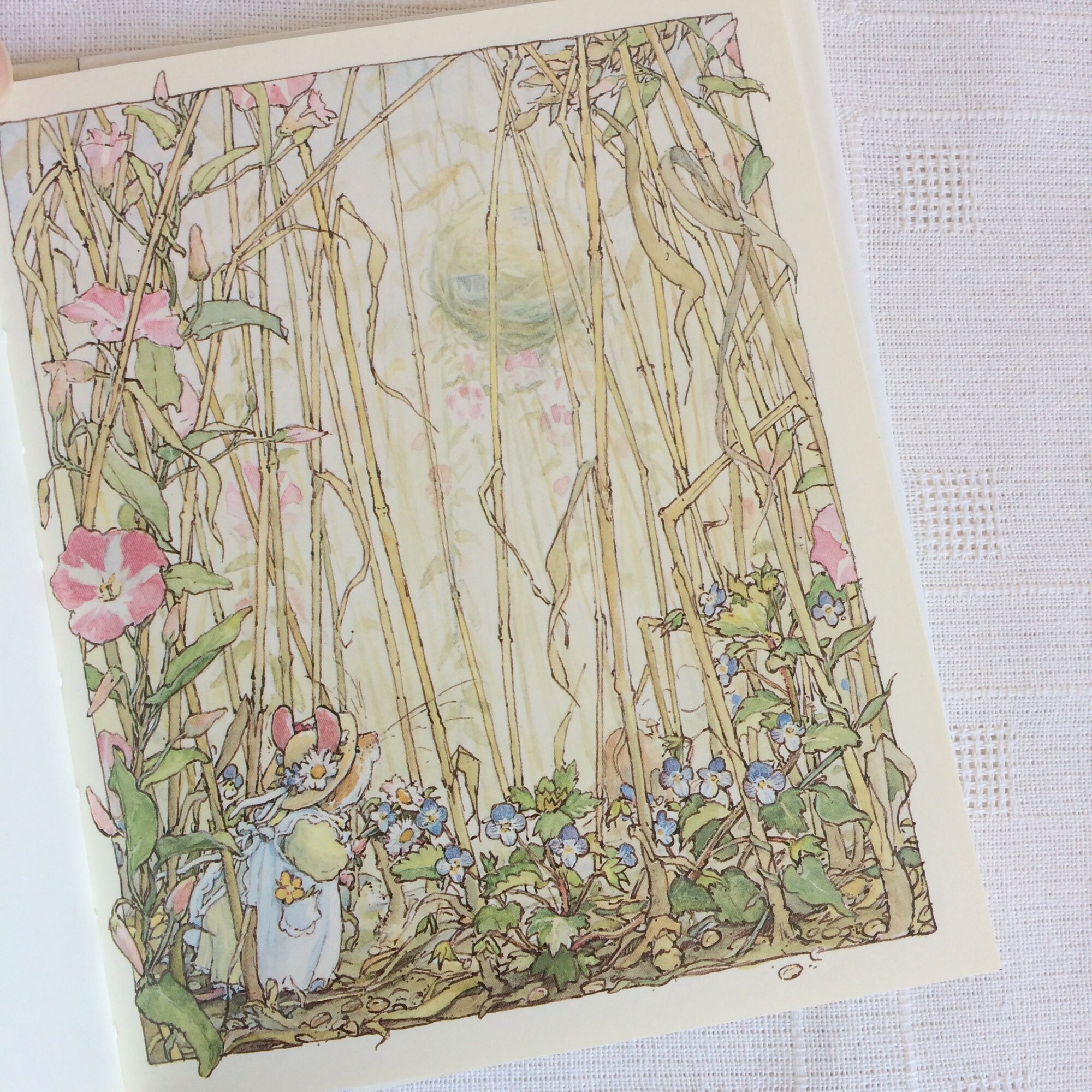 autumn story jill barklem