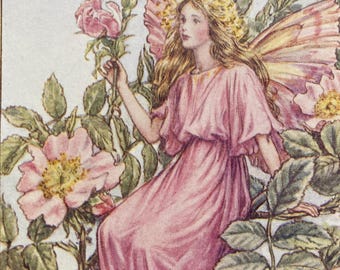 Vintage Flower Fairies Print, The Wild Rose Fairy, Original 1930s Children's Book Plate Illustration
