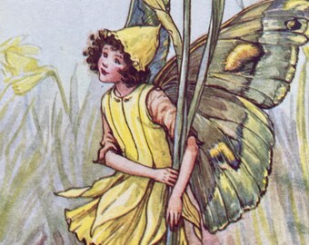 The Daffodil Fairy, Original 1930s Flower Fairies Print, Children's Book Illustration, Nursery Art