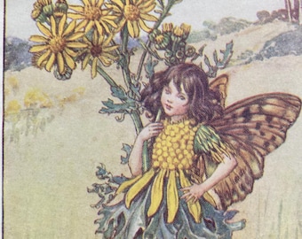 Vintage Flower Fairies Print, The Ragwort Fairy, Original 1930s Children's Book Plate Illustration