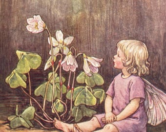 The Wood Sorrel Fairy, Original 1930s Flower Fairies Print, Children's Book Illustration, Nursery Art