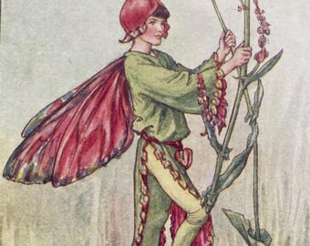 The Sorrel Fairy, Original 1930s Flower Fairies Print, Children's Book Illustration, Nursery Art