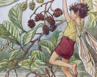 The Alder Fairy, Original 1940s Flower Fairies Print, Vintage Children's Book Plate Illustration