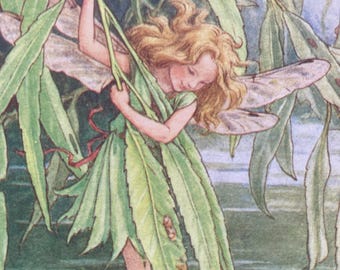 The Willow Fairy, Original 1940s Flower Fairies Print, Vintage Children's Book Plate Illustration