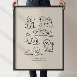 May include: A framed wall art print on a light beige background featuring five black line art illustrations of Bichon Frisé dogs in various poses. The text BICHON FRISÉ THE BREED COLLECTION is printed in black at the bottom of the rectangular print.