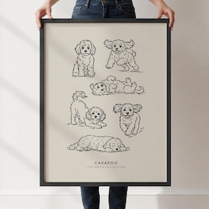 Può includere: Una stampa artistica incorniciata su sfondo beige con sei illustrazioni a tratto nero di cani Cavapoo in varie pose. Il testo in basso recita CAVAPOO THE BREED COLLECTION in un carattere nero semplice, pulito e senza grazie.