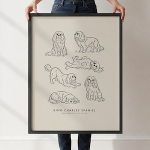 Pode incluir: Uma impressão emoldurada sobre um fundo bege com ilustrações de linha preta de cinco spaniels King Charles em várias poses. O texto na parte inferior diz KING CHARLES SPANIEL THE BREED COLLECTION numa fonte preta simples.