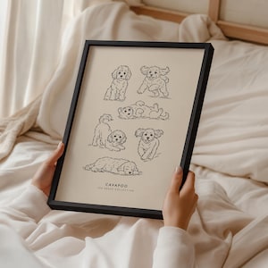 May include: A black framed print on a light beige background featuring six black line art illustrations of Cavapoo dogs in various poses, including sitting, running, and sleeping, with the text CAVAPOO THE BREED COLLECTION printed at the bottom.