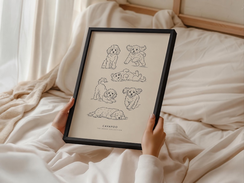 May include: A black framed print on a light beige background featuring six black line art illustrations of Cavapoo dogs in various poses, including sitting, running, and sleeping, with the text CAVAPOO THE BREED COLLECTION printed at the bottom.